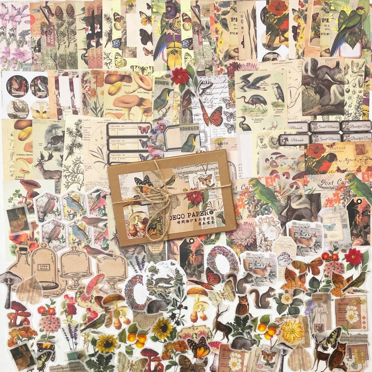 200 Scrapbook Stickers Kit & Aesthetic Journaling Paper (200)